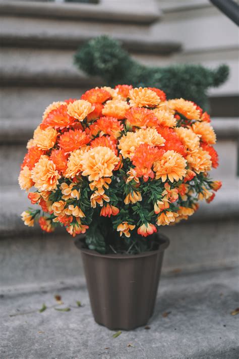 fake mums that look real